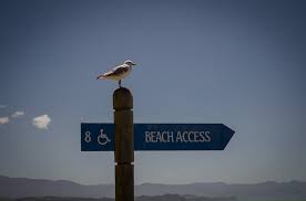 trova le spiagge accessibili